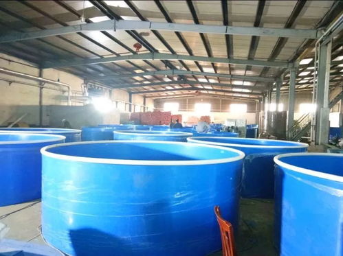 德清新港省級(jí)現(xiàn)代農(nóng)業(yè)園區(qū)再次上榜 這次是因?yàn)?></a></div>
<div   id=