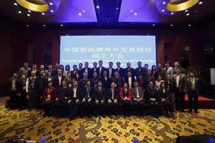 王麗博士出席中國(guó)新能源海外發(fā)展聯(lián)盟創(chuàng)立大會(huì) 理事 中國(guó)與全球化智庫(kù)